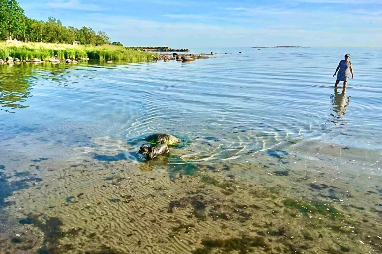 6 persoons vakantie huis in STURKÖ-Niet-getagd