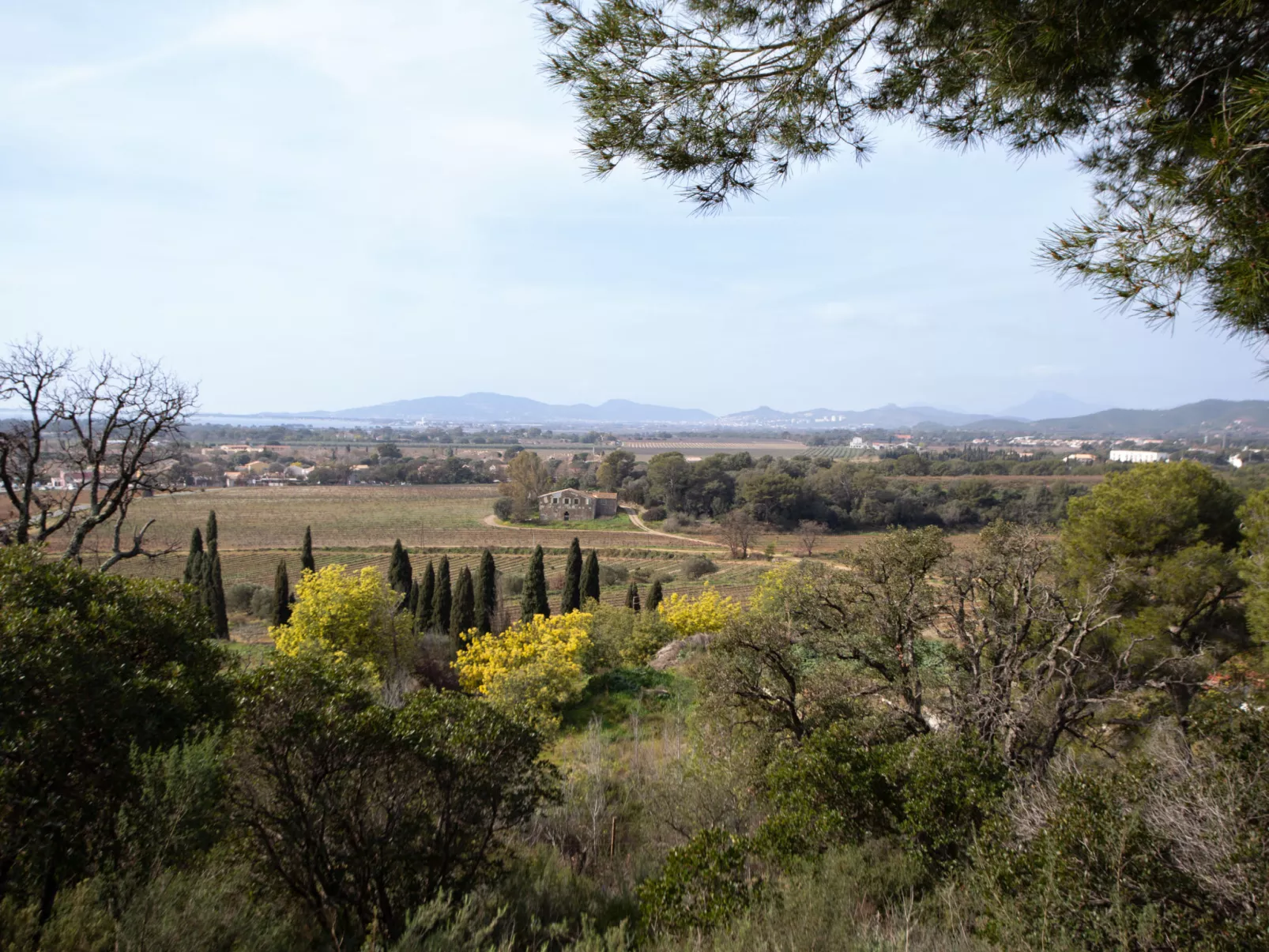 Les Océanides-Omgeving