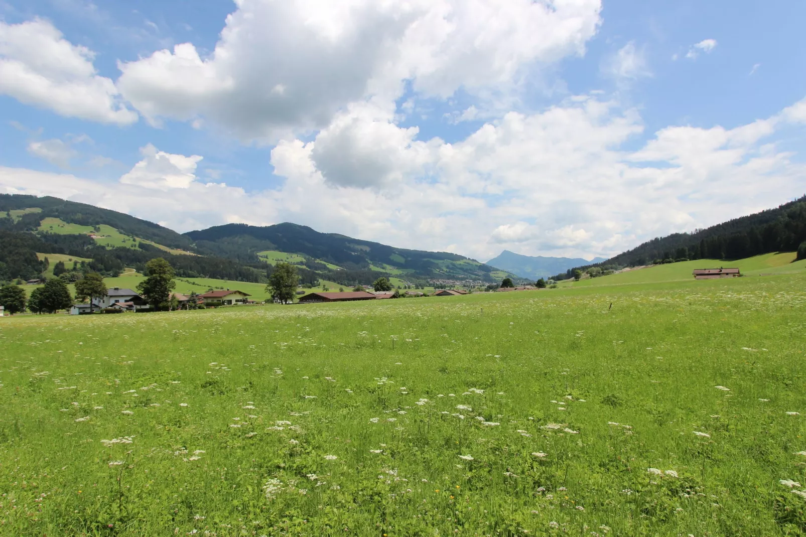 Kaiserblick Berghof-Gebieden zomer 1km