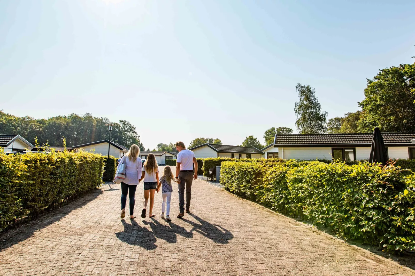 Noordwijkse Duinen 13-Gebieden zomer 1km