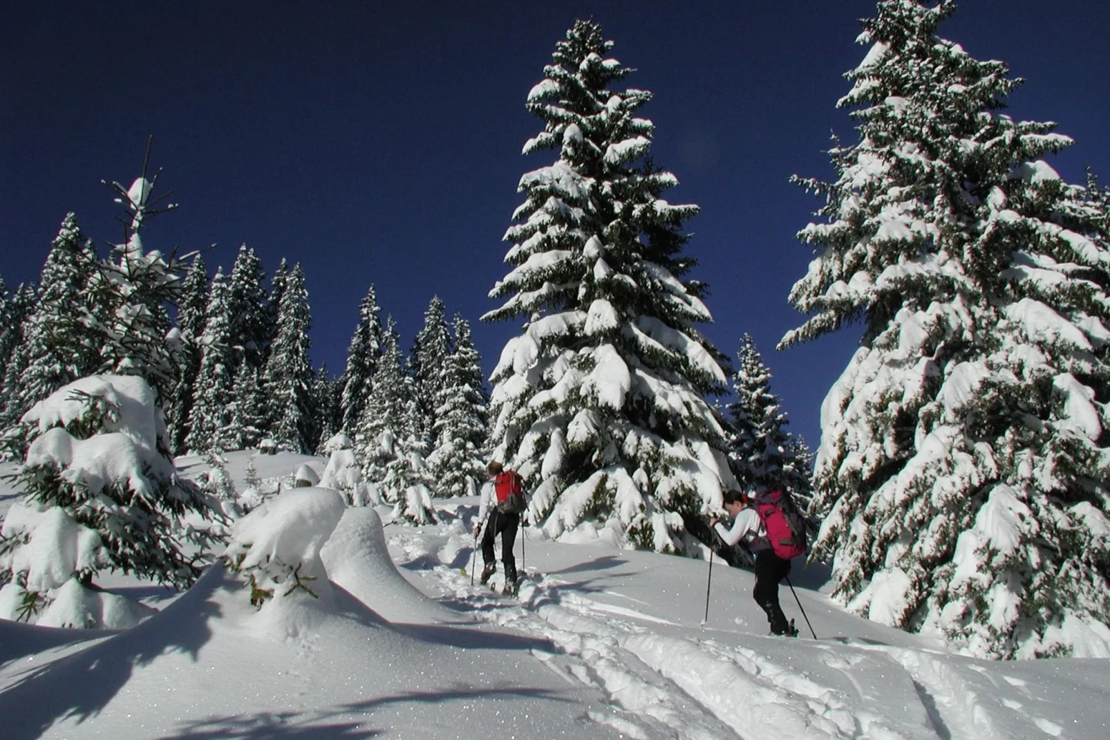 Erzberg Alpin Resort  14-Gebied winter 1km