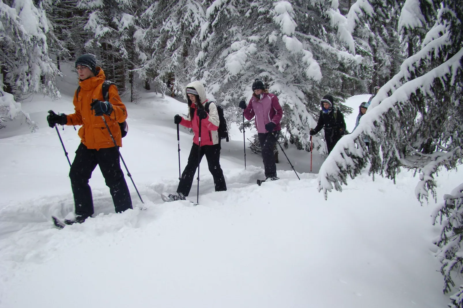 Erzberg Alpin Resort  14-Gebied winter 5km