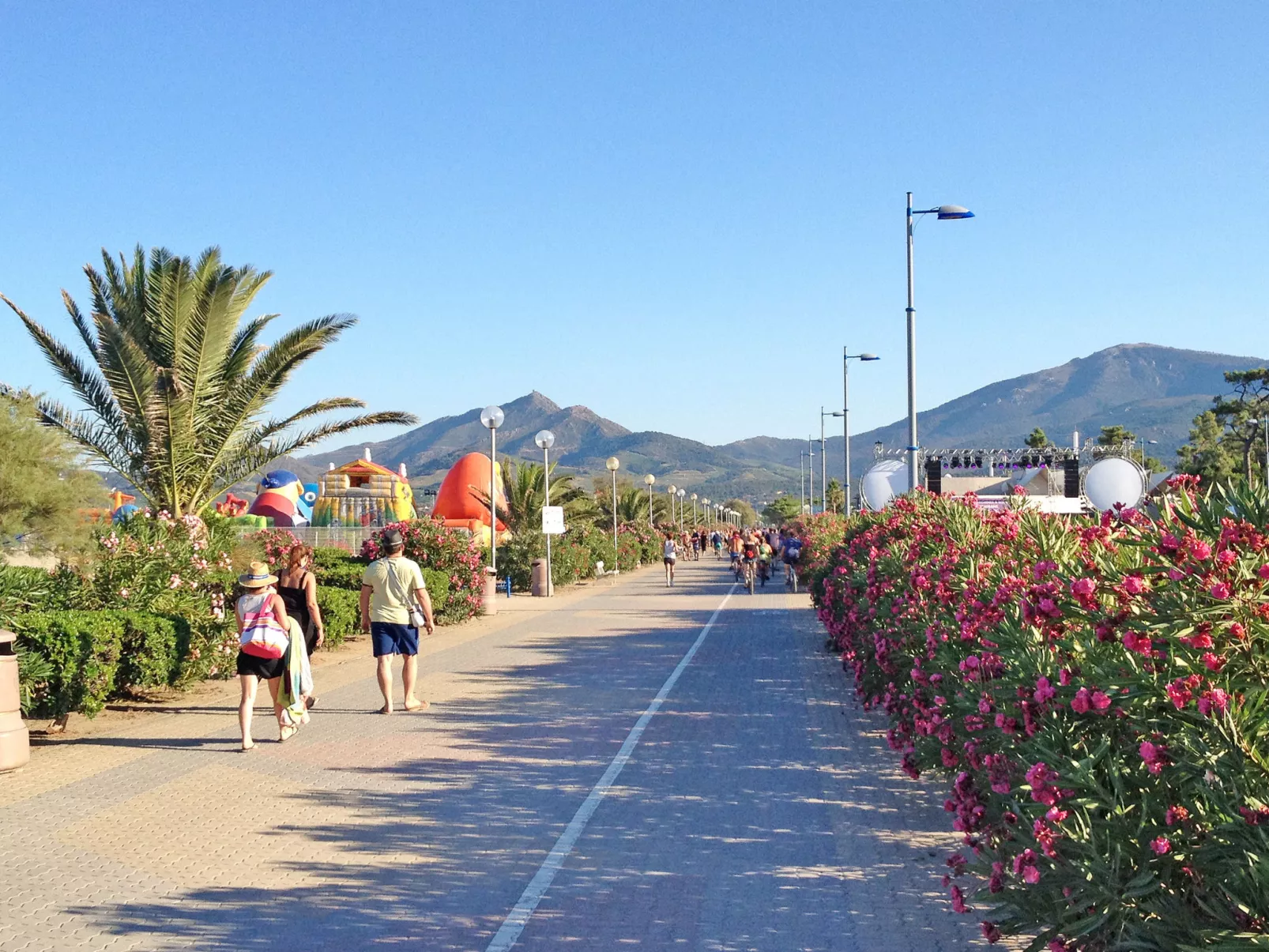 Les Patios de la Massane-Omgeving