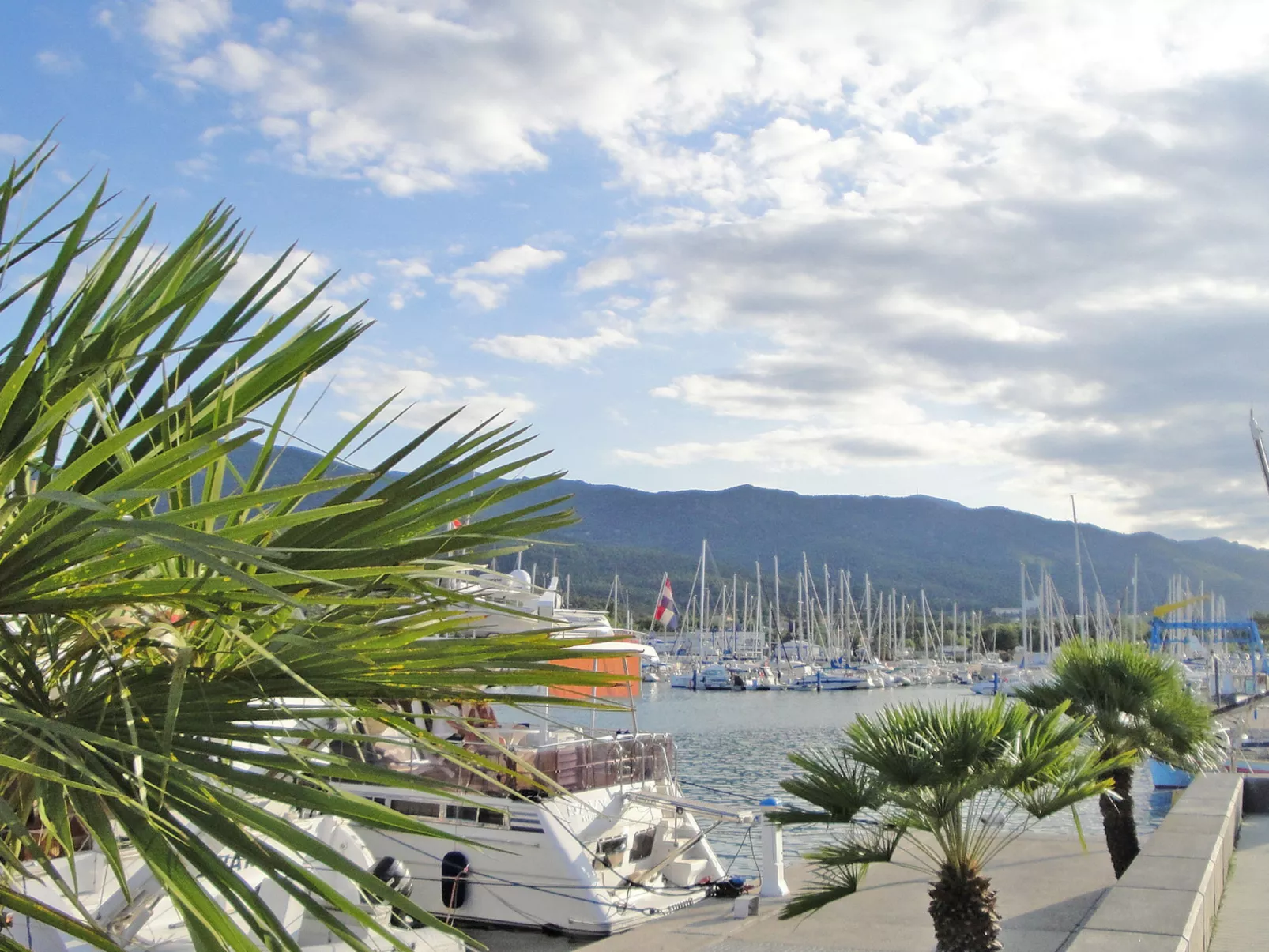 Les Patios de la Massane-Omgeving