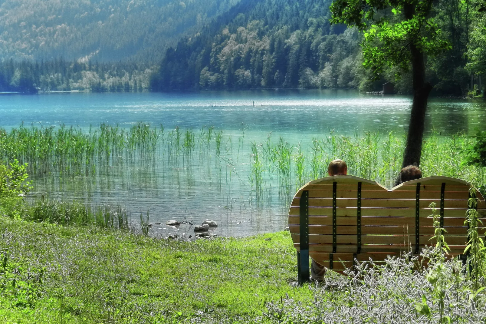 Erzberg Alpin Resort 5-Gebieden zomer 5km