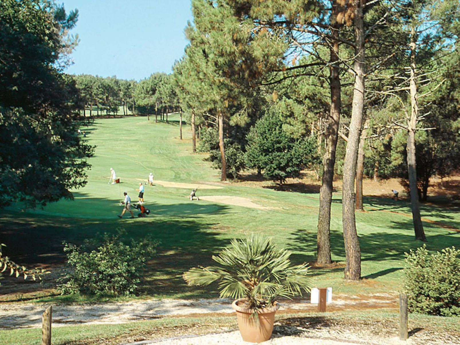 Eden Parc Golf de l'Ardilouse V4IS-Buiten