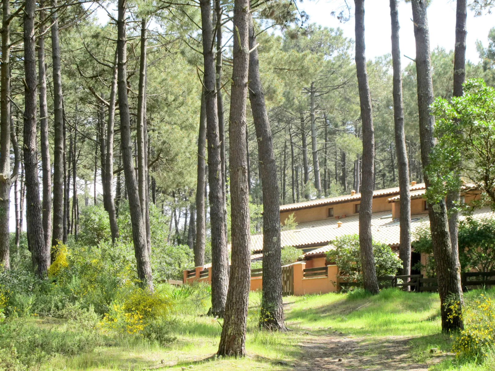 Les maisons de la forêt-Buiten