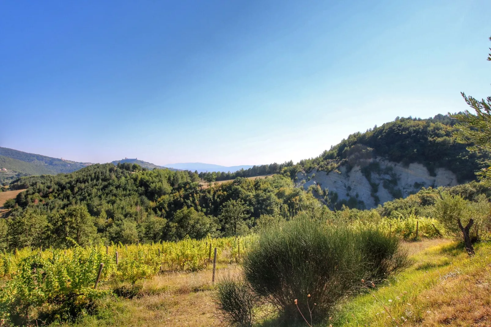 Villa Fata Morgana-Gebieden zomer 1km