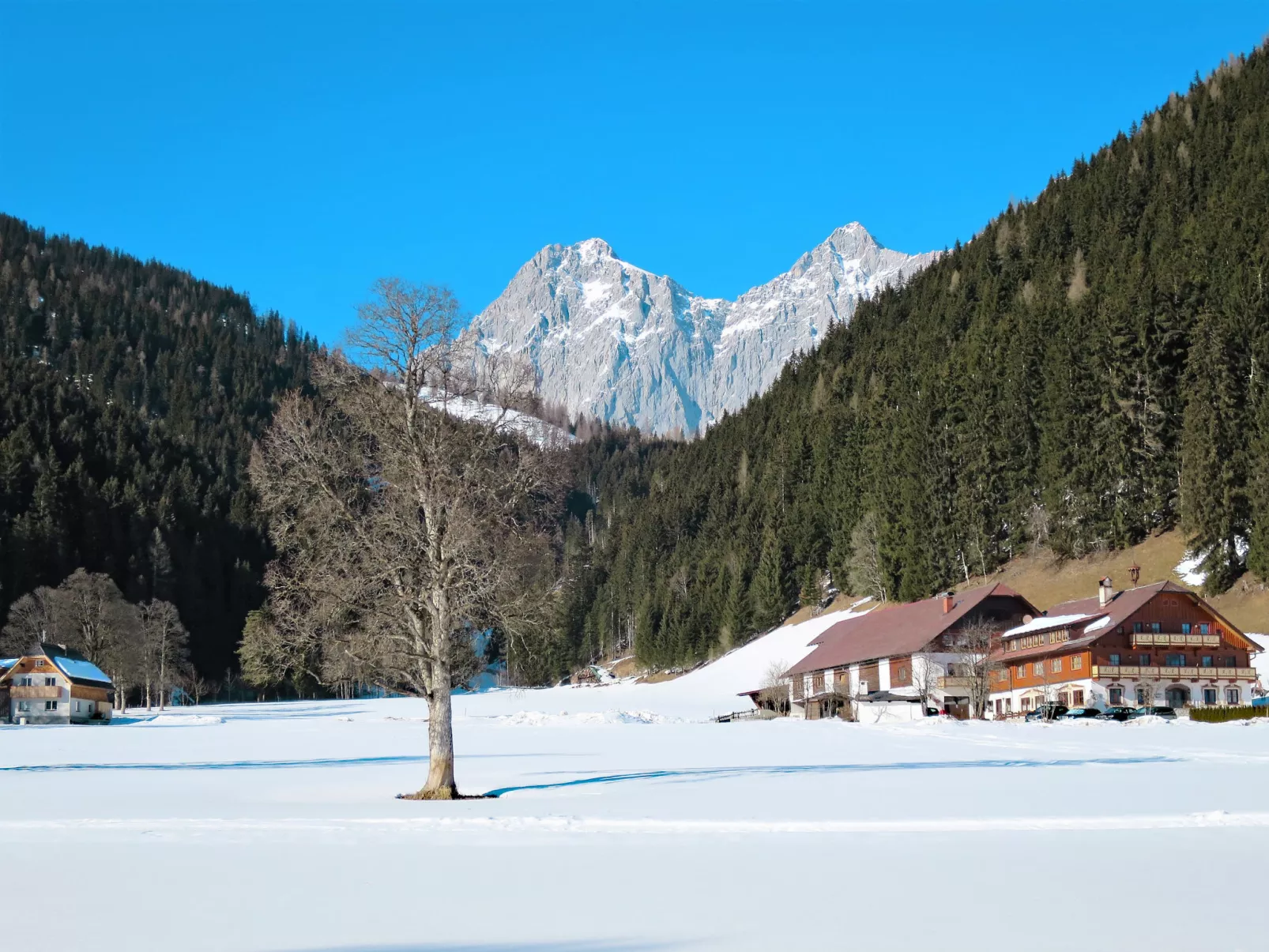 Berghaus Weitblick-Omgeving