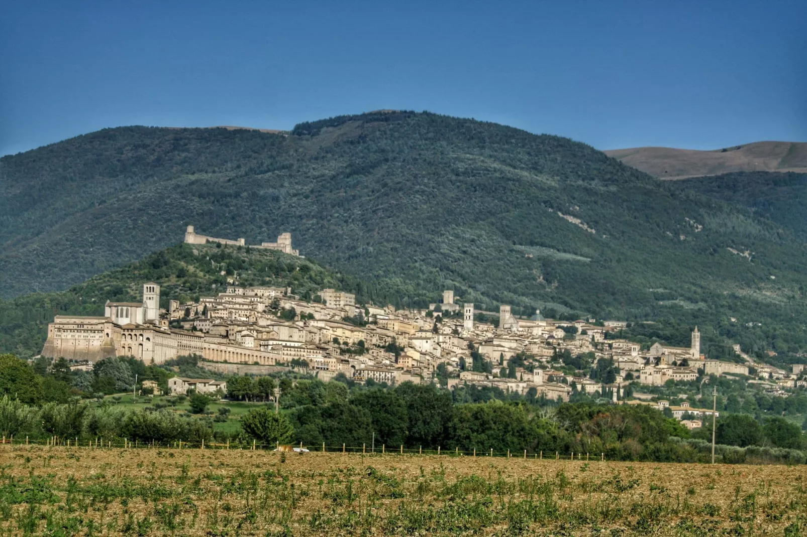 Ginestrilo-Gebieden zomer 5km