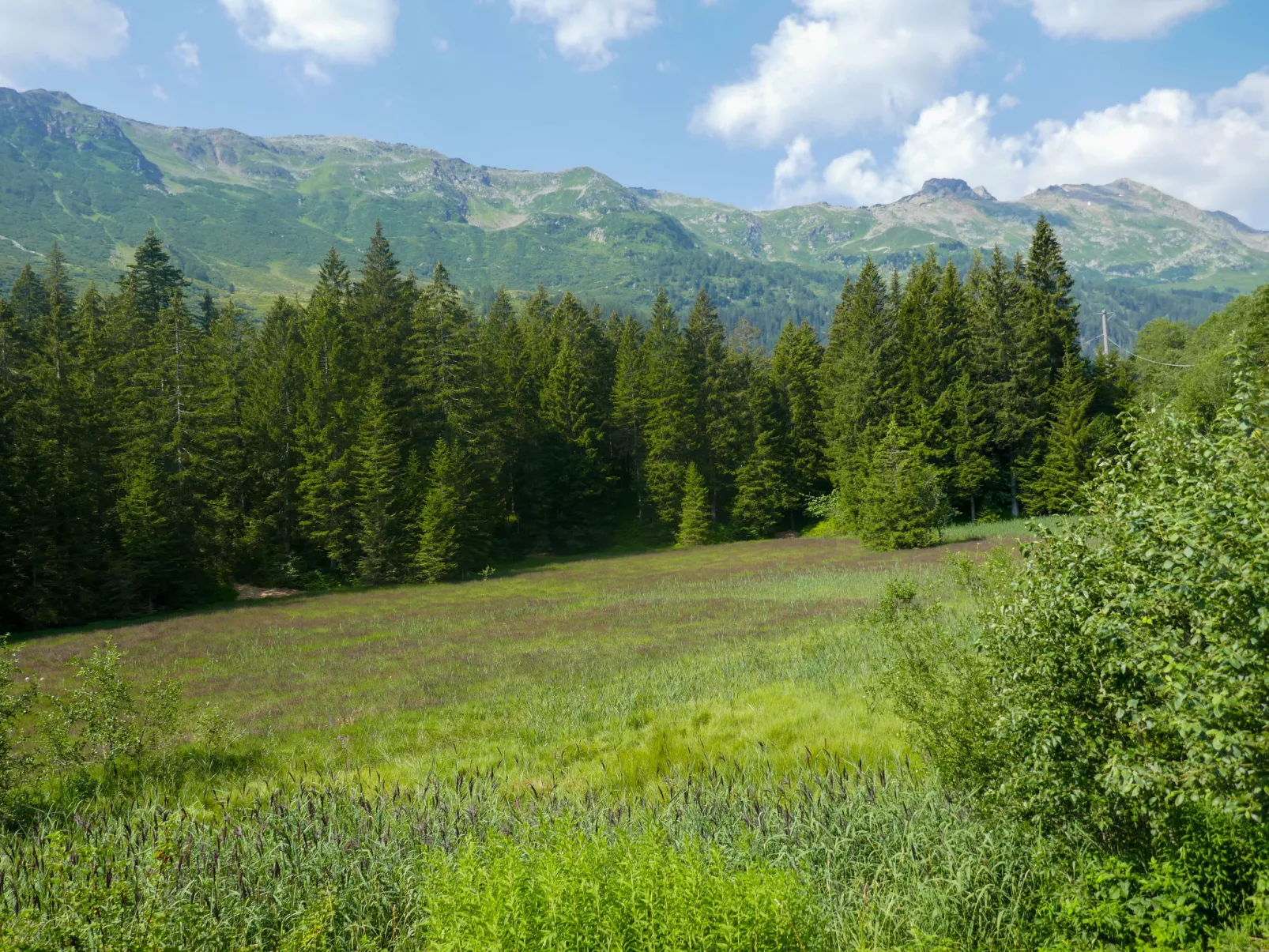 Rustico Dolomia-Omgeving