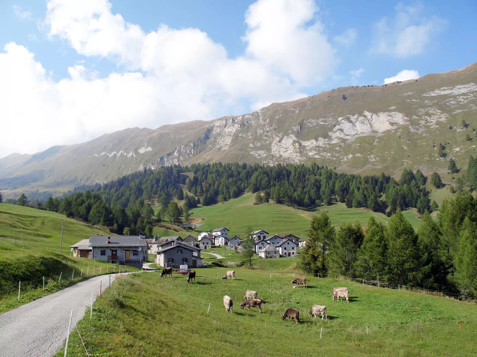 Rustico Dolomia-Omgeving