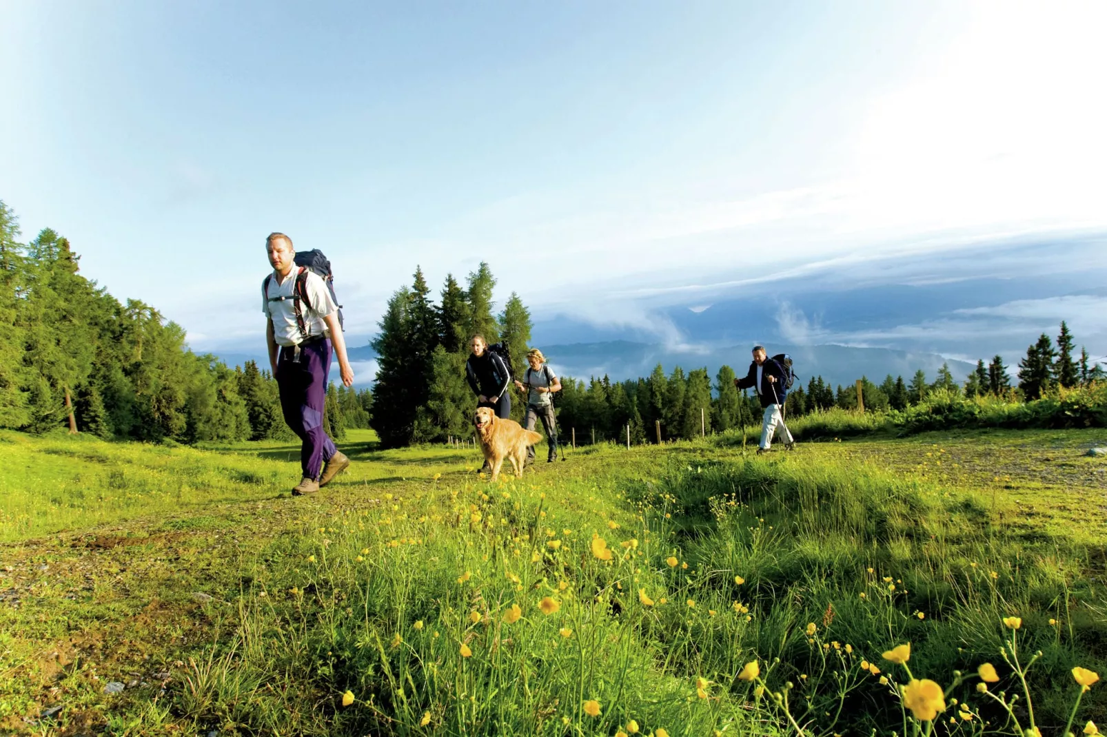 Ferienpark Kreischberg 8-Gebieden zomer 5km