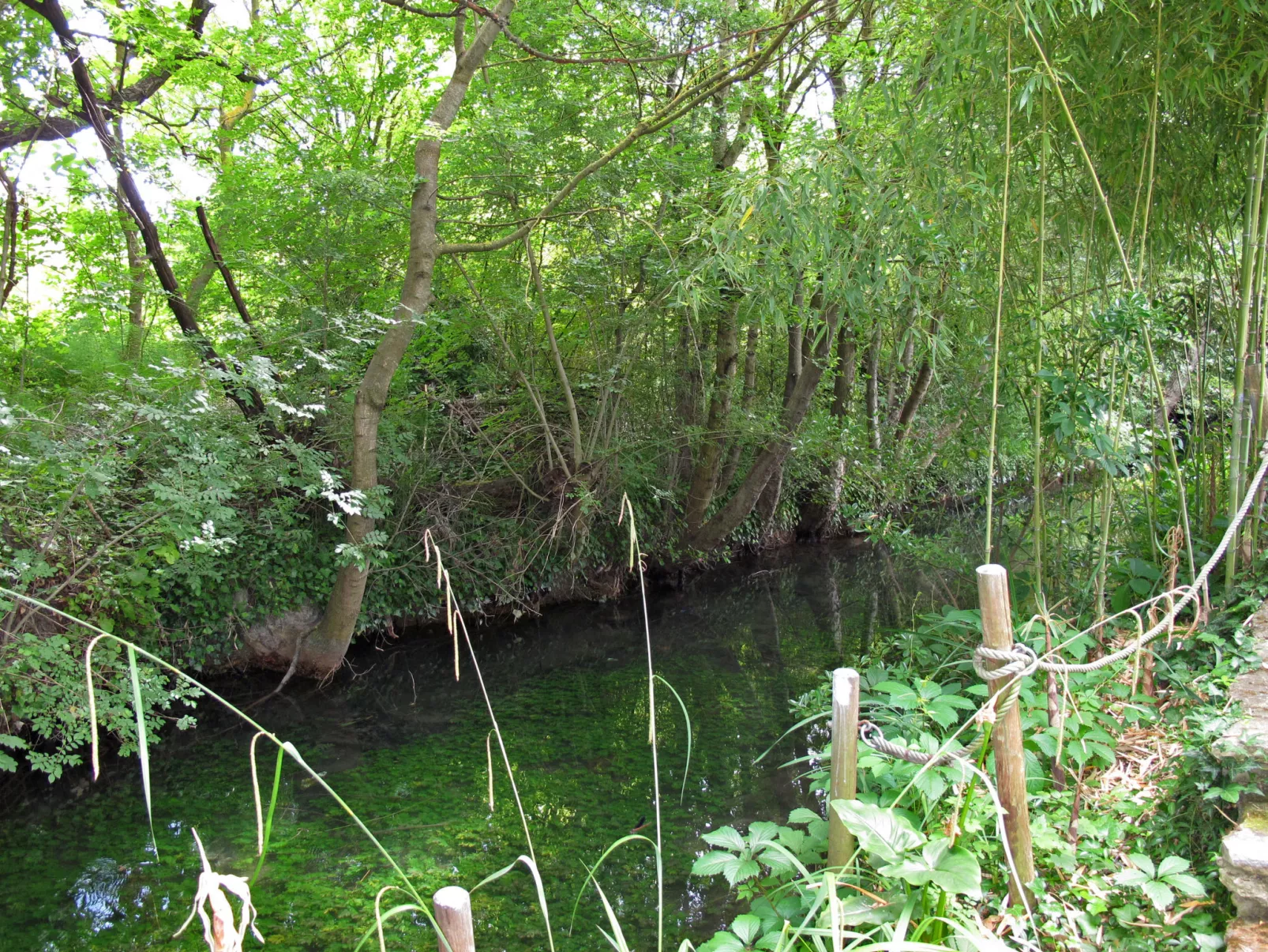 L'Isle sur la Sorgue-Buiten