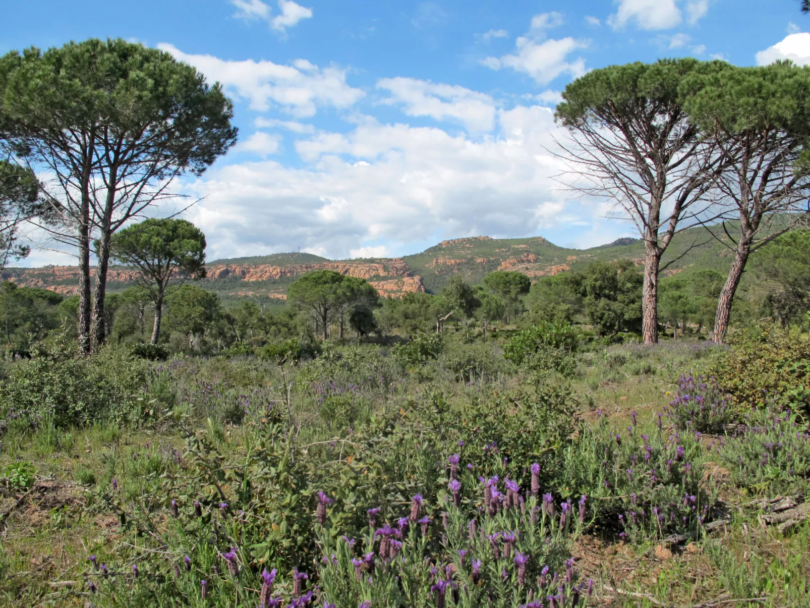 Domaines de St. Endréol-Omgeving