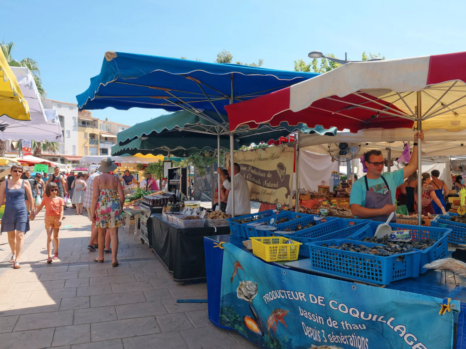 Les terrasses de la Plage-Omgeving