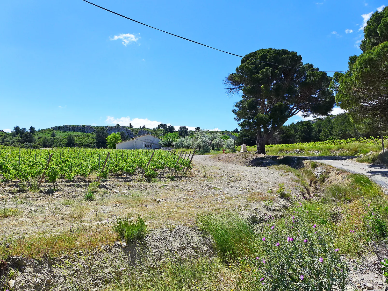 Les Vendanges-Buiten