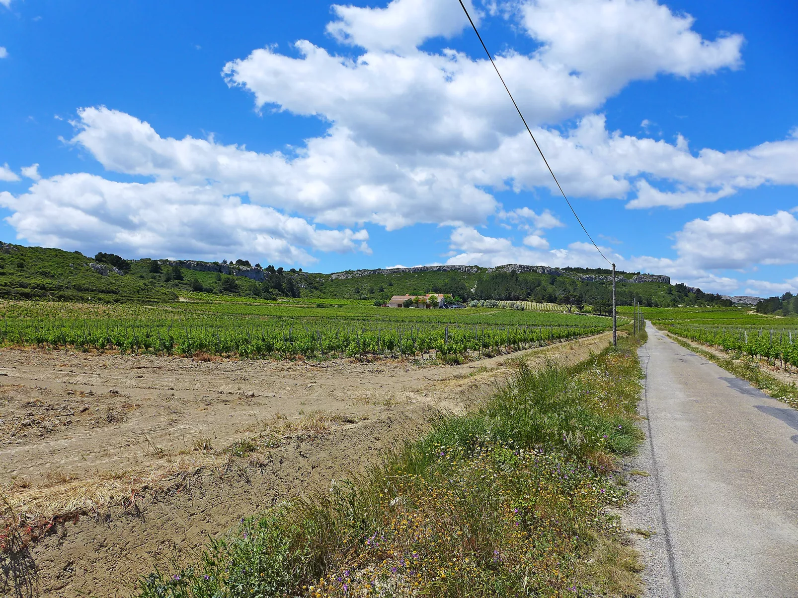 Les Vendanges-Buiten