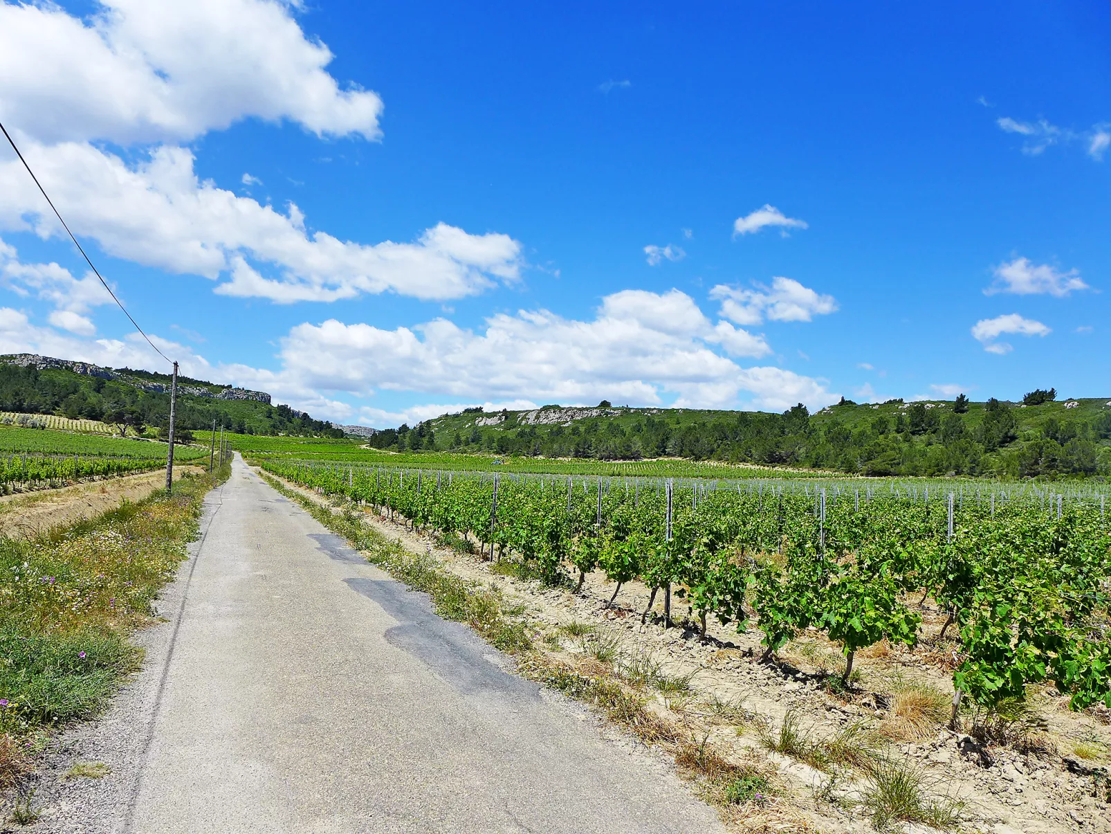 Les Vendanges-Buiten