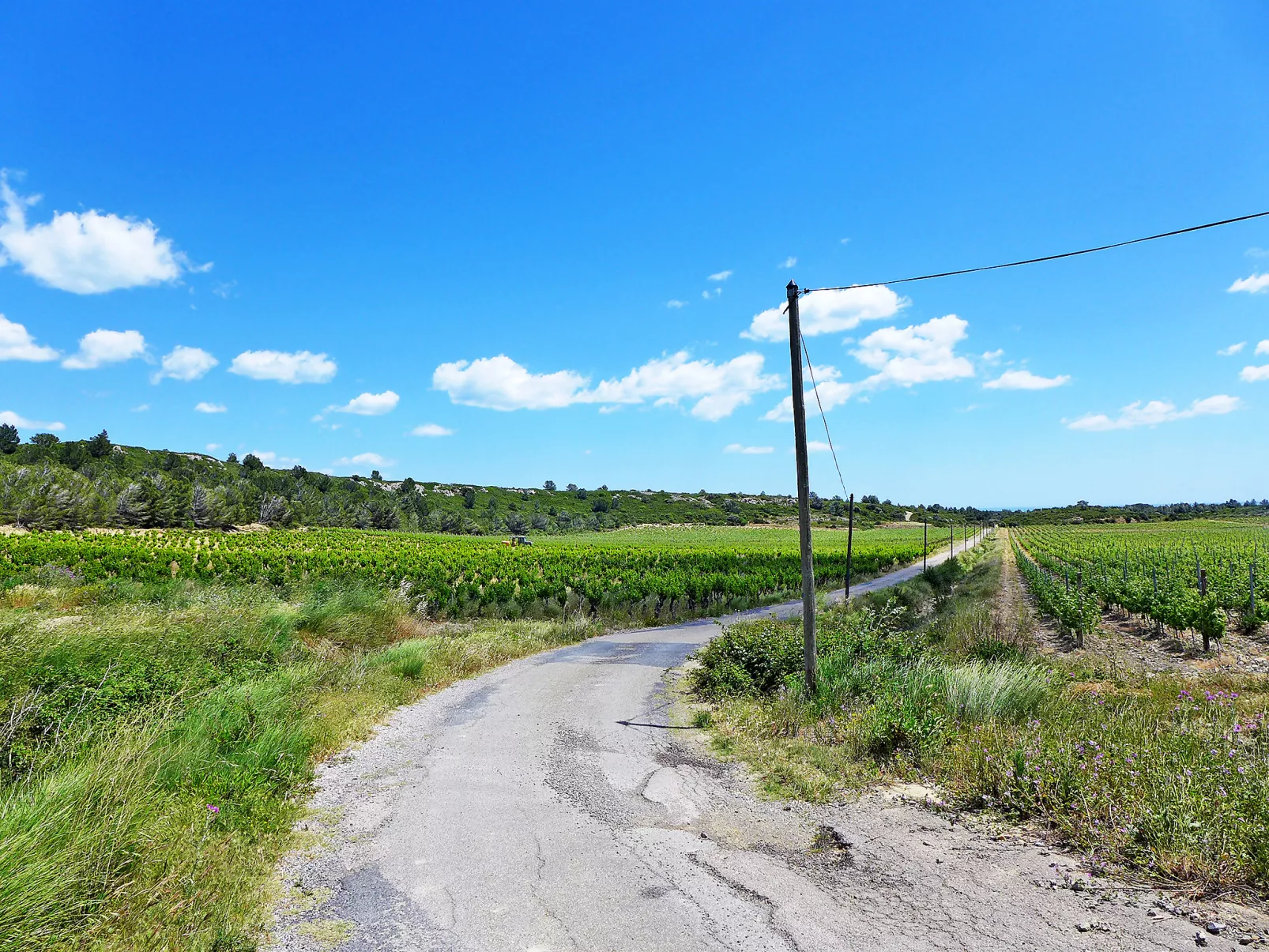 Les Vendanges-Buiten