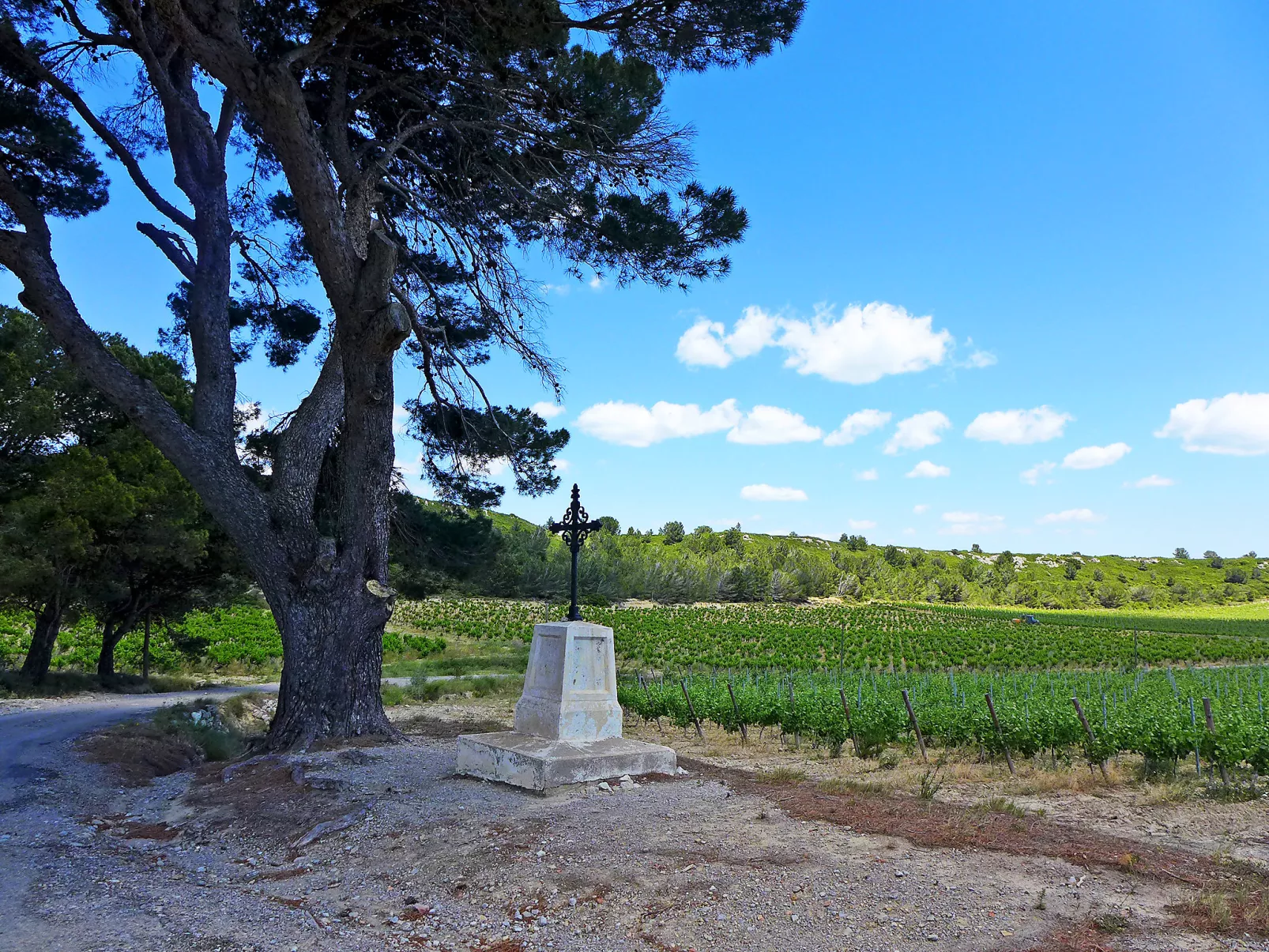 Les Vendanges-Buiten