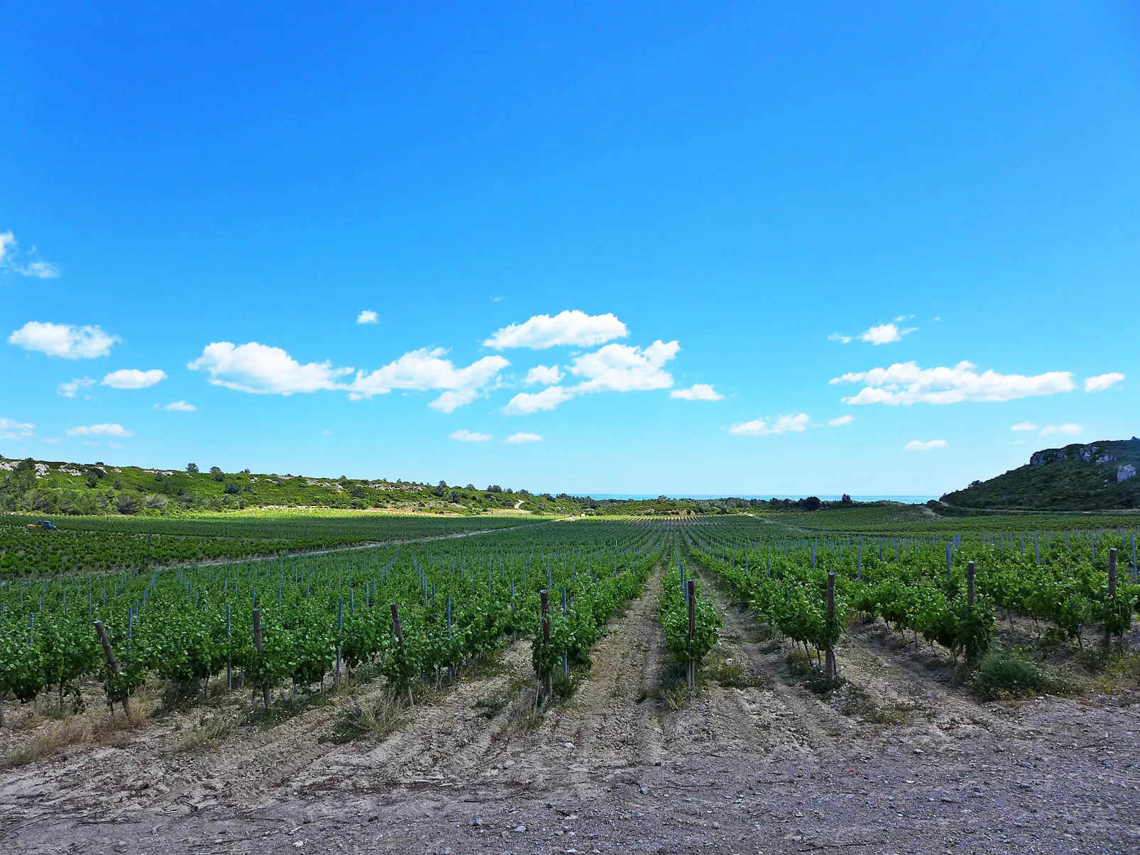 Les Vendanges-Buiten