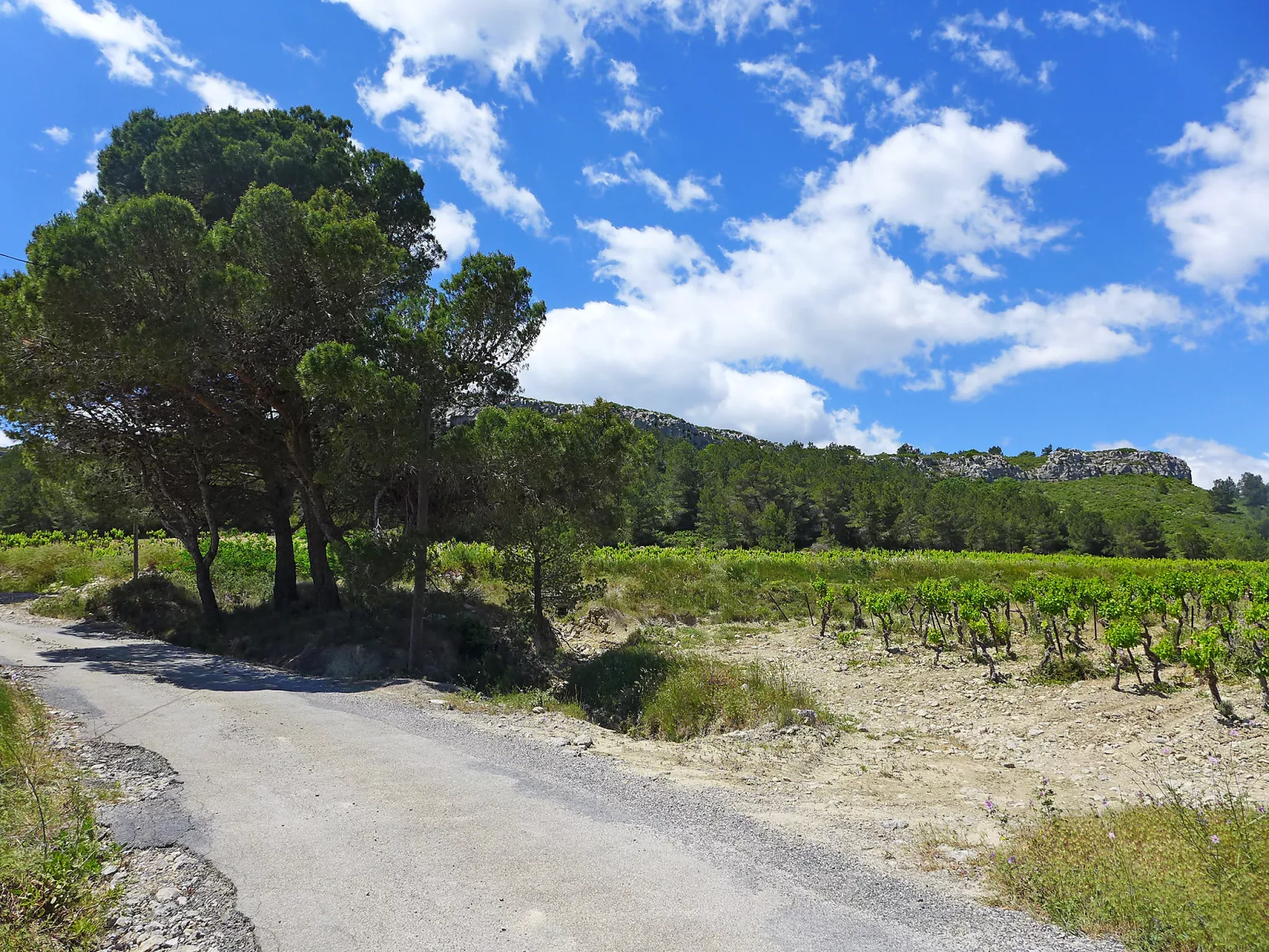 Les Vendanges-Buiten