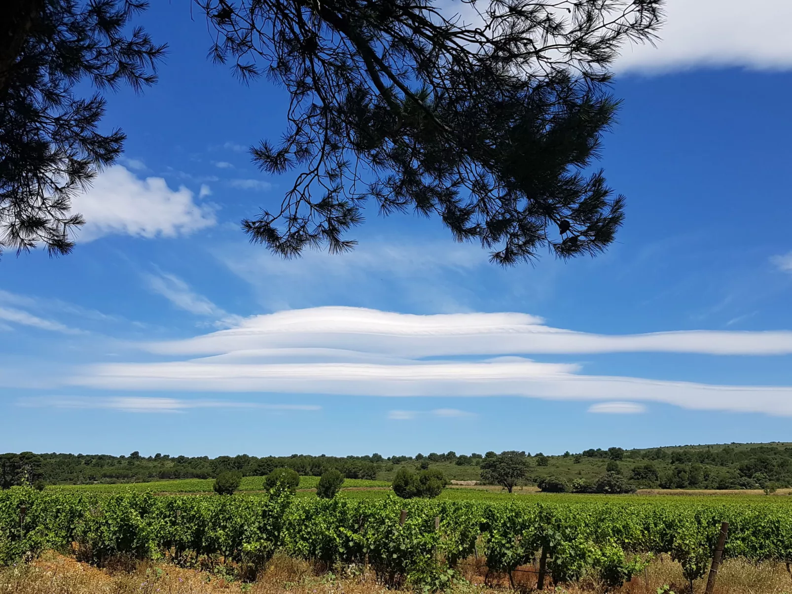 Les Vendanges-Omgeving