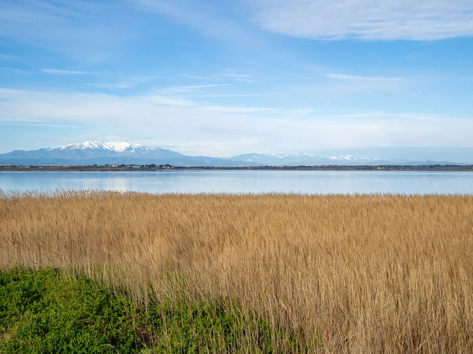 Le Beaulieu-Omgeving