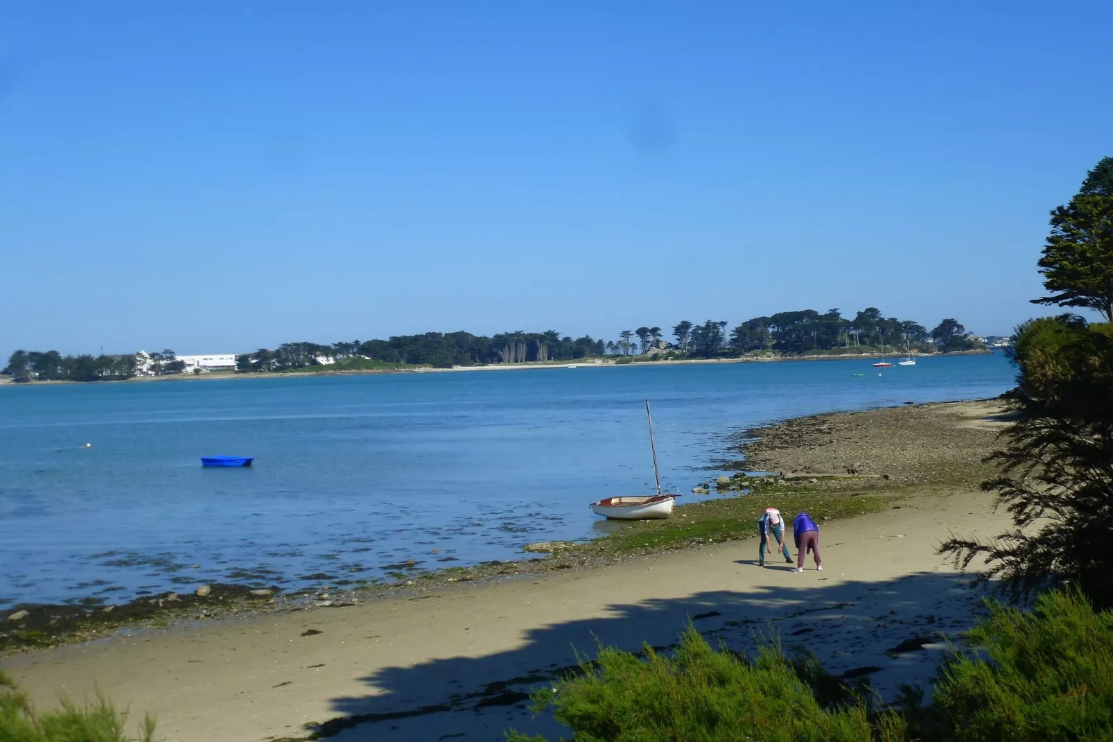 180° Panorama Meerblick Ferienwohnung Roscoff-Gebieden zomer 1km