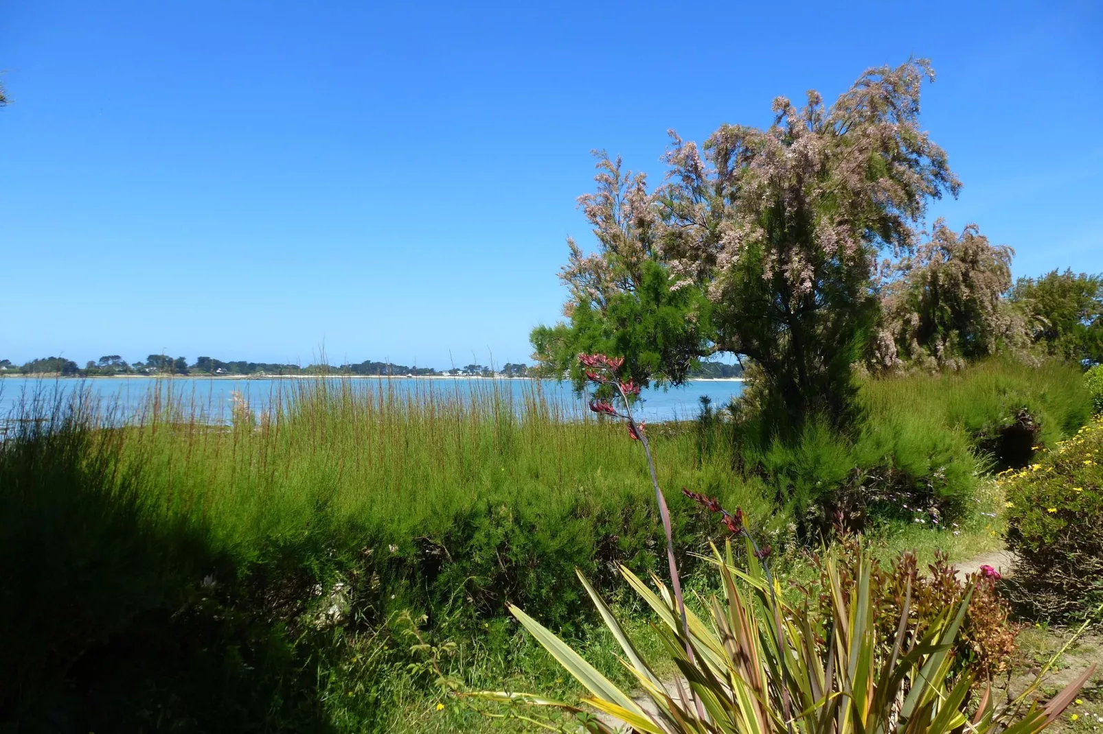 180° Panorama Meerblick Ferienwohnung Roscoff-Gebieden zomer 1km