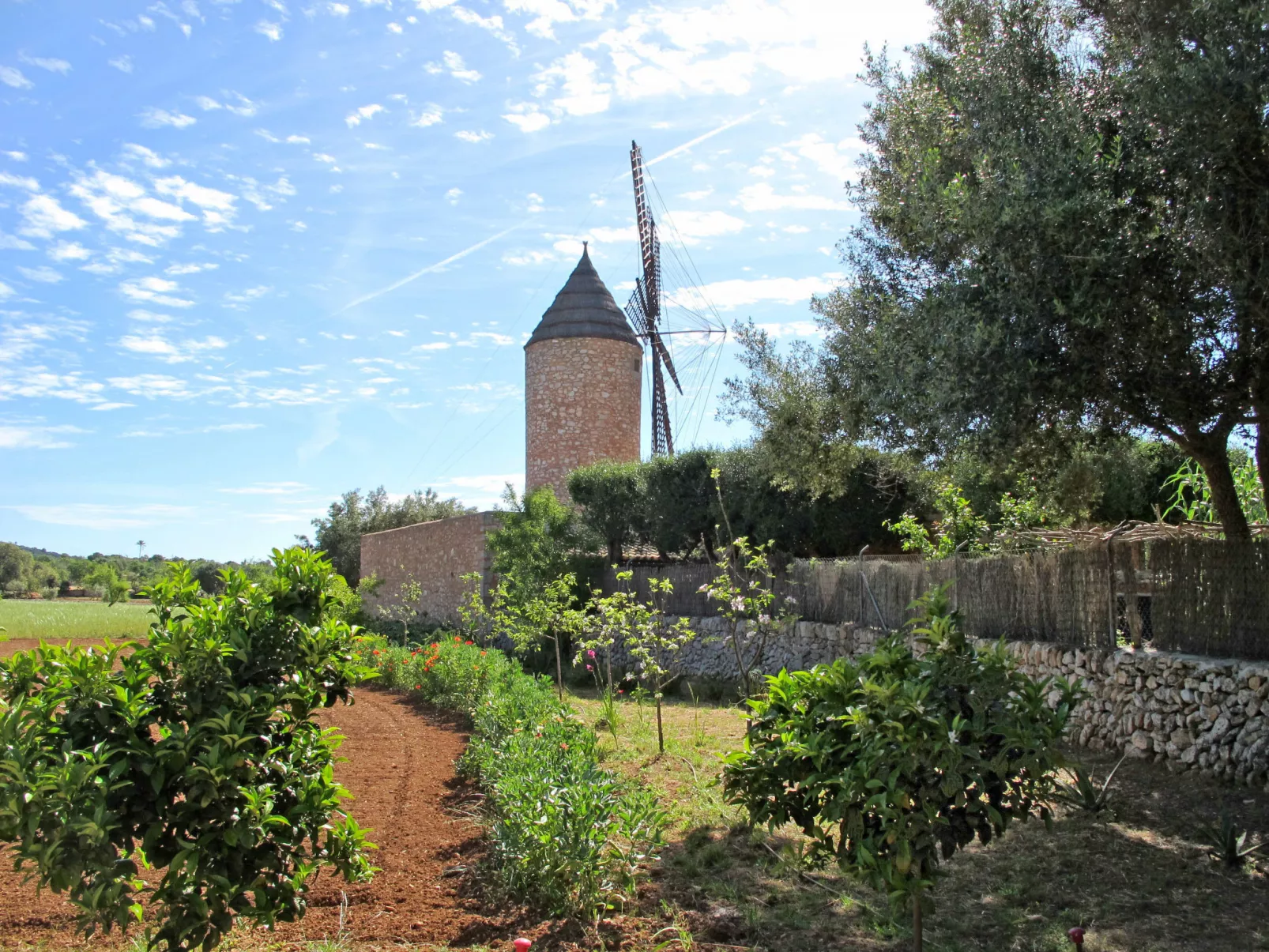 Moli de Son Vidal-Buiten