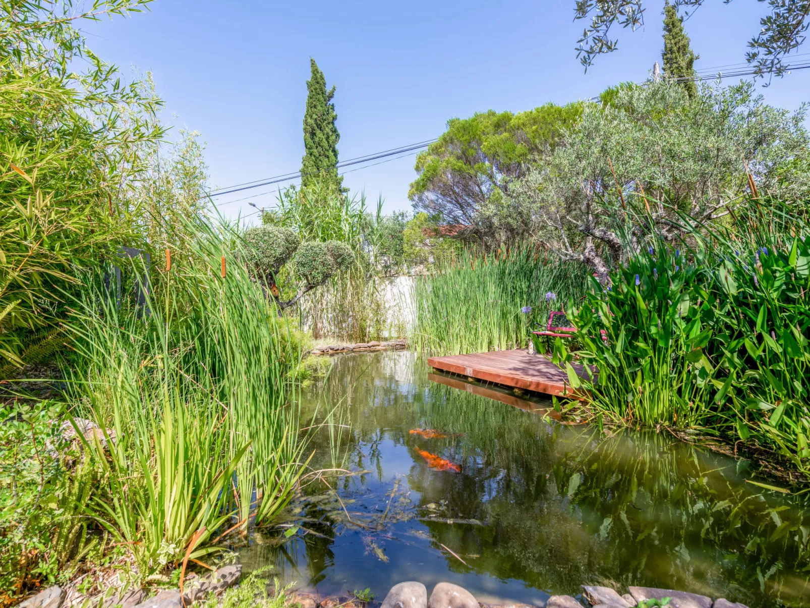 Quintal das Oliveiras-Buiten