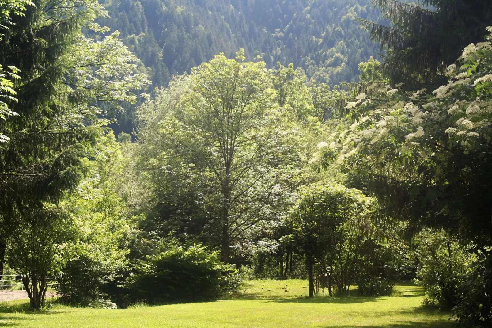 Apartment Das kleine Paradies-Tuinen zomer