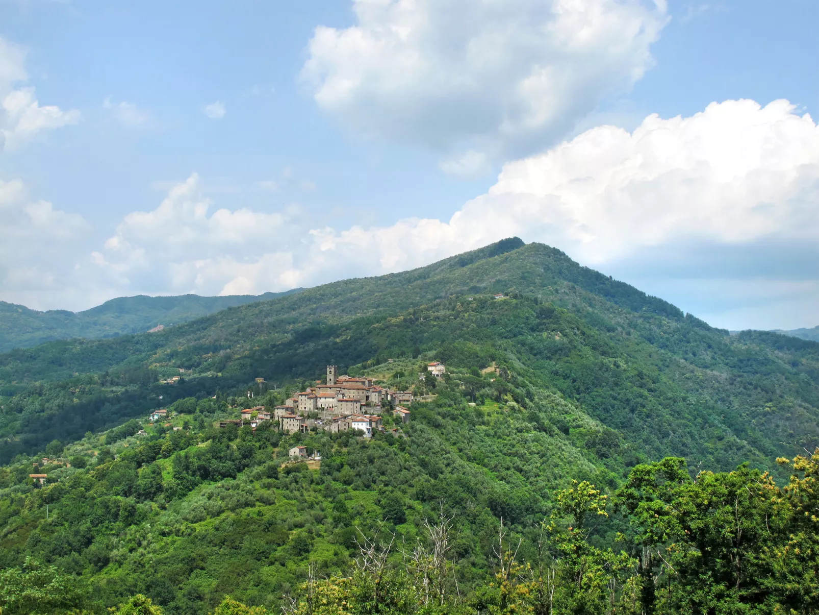 Podere Piastriccio/Casa di Vetro-Omgeving