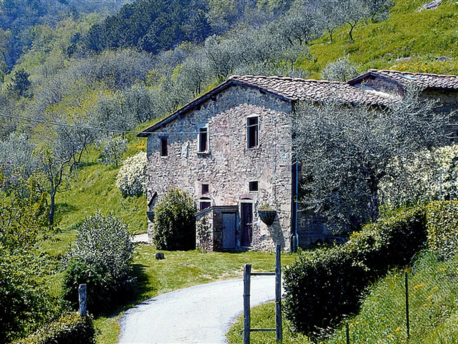 Podere Zano-Buiten