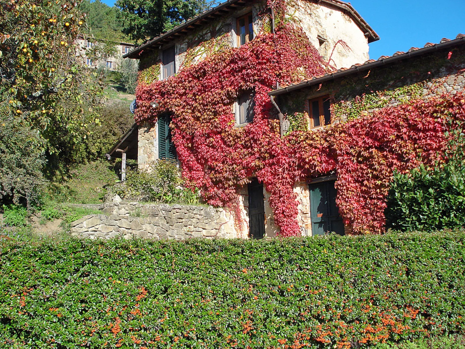 Podere Piastriccio / Apt.Piccolo-Buiten