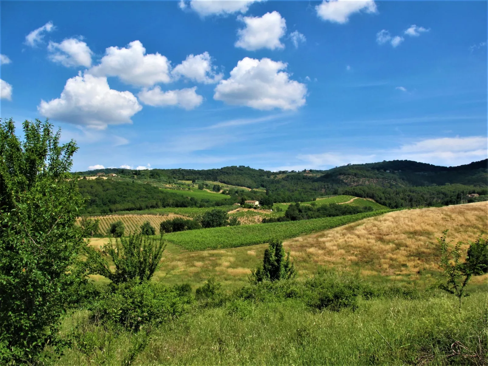 Dependance di Villa Magna-Buiten