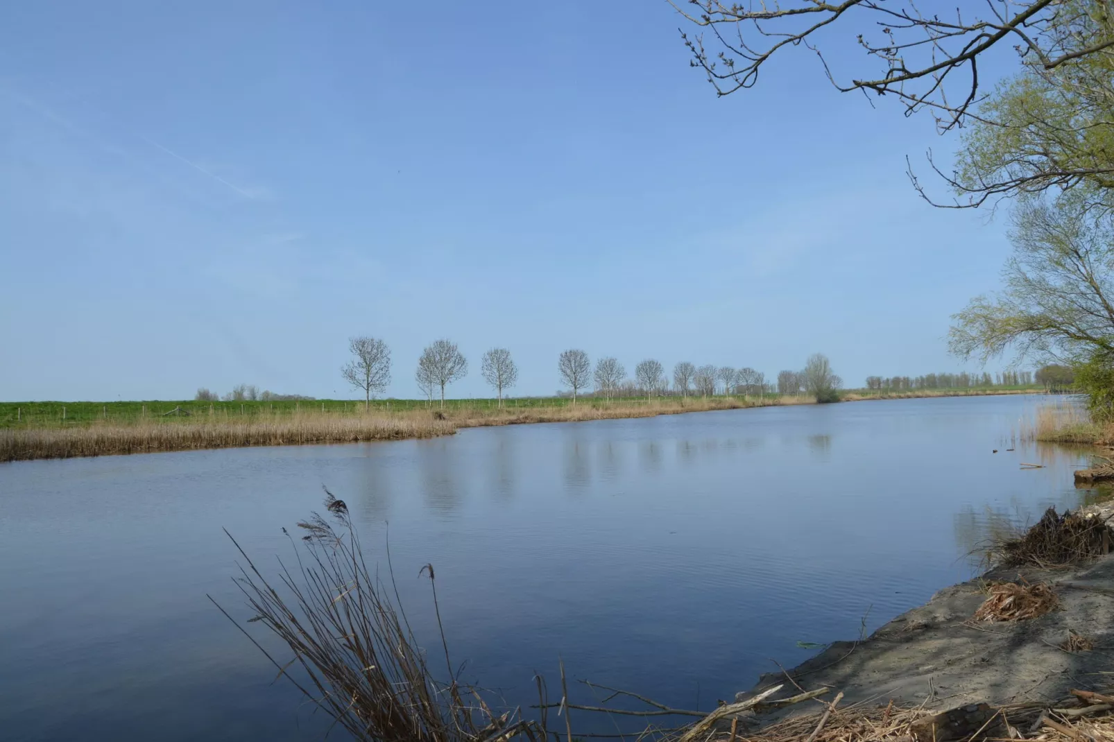 Het Biesbosch huisje-Tuinen zomer