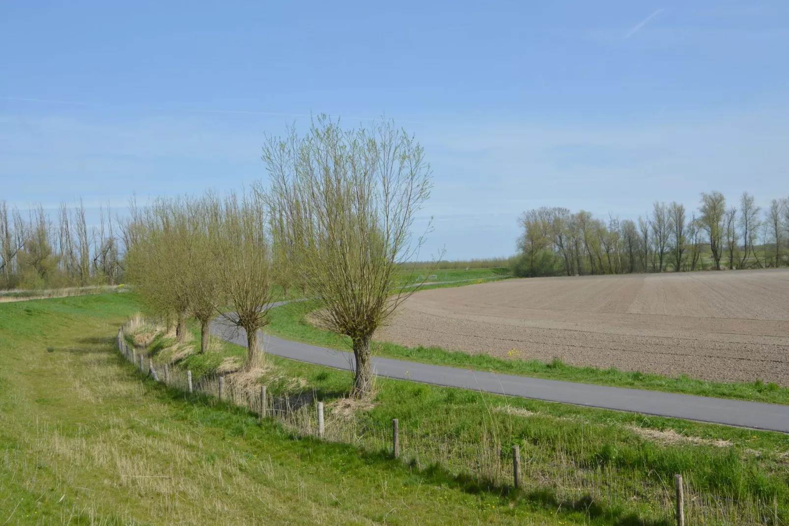 Het Biesbosch huisje-Gebieden zomer 1km