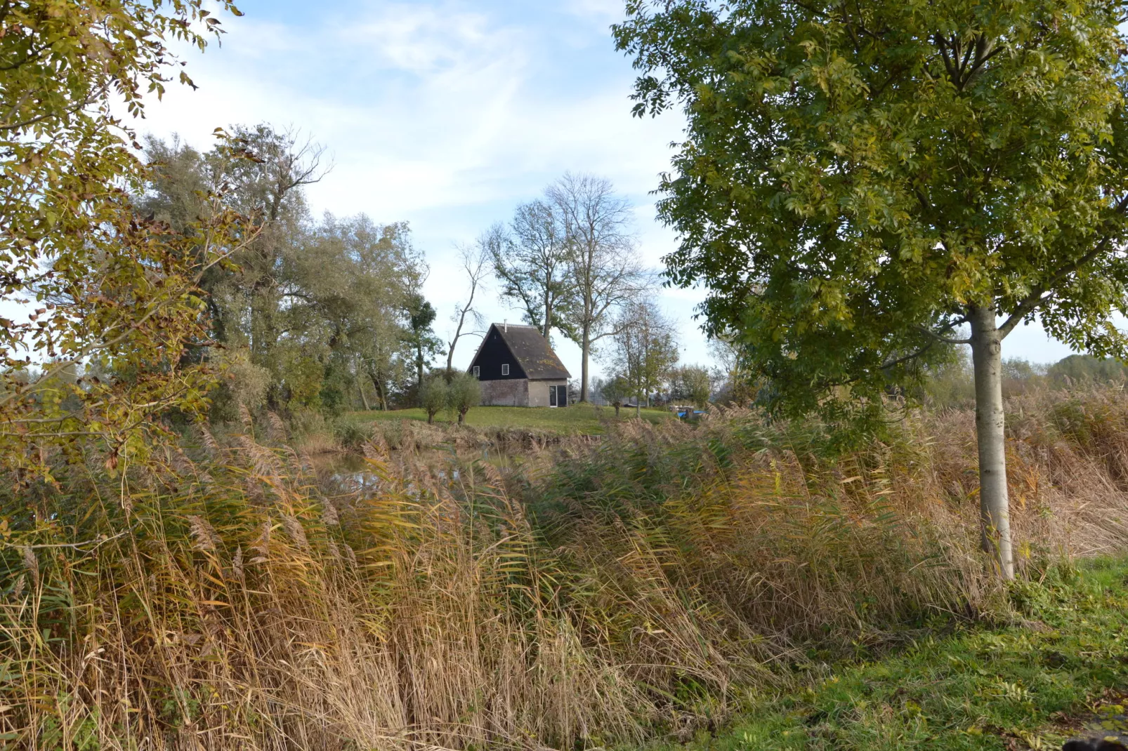 Het Biesbosch huisje-Gebieden zomer 1km