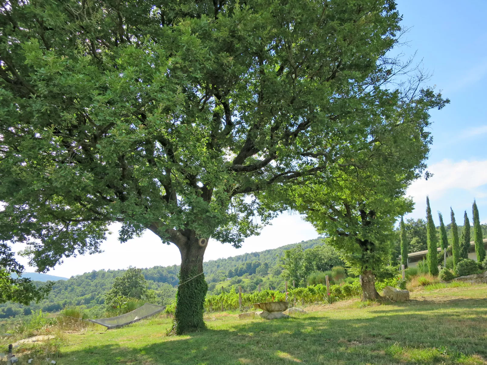 Podere Casidote-Buiten