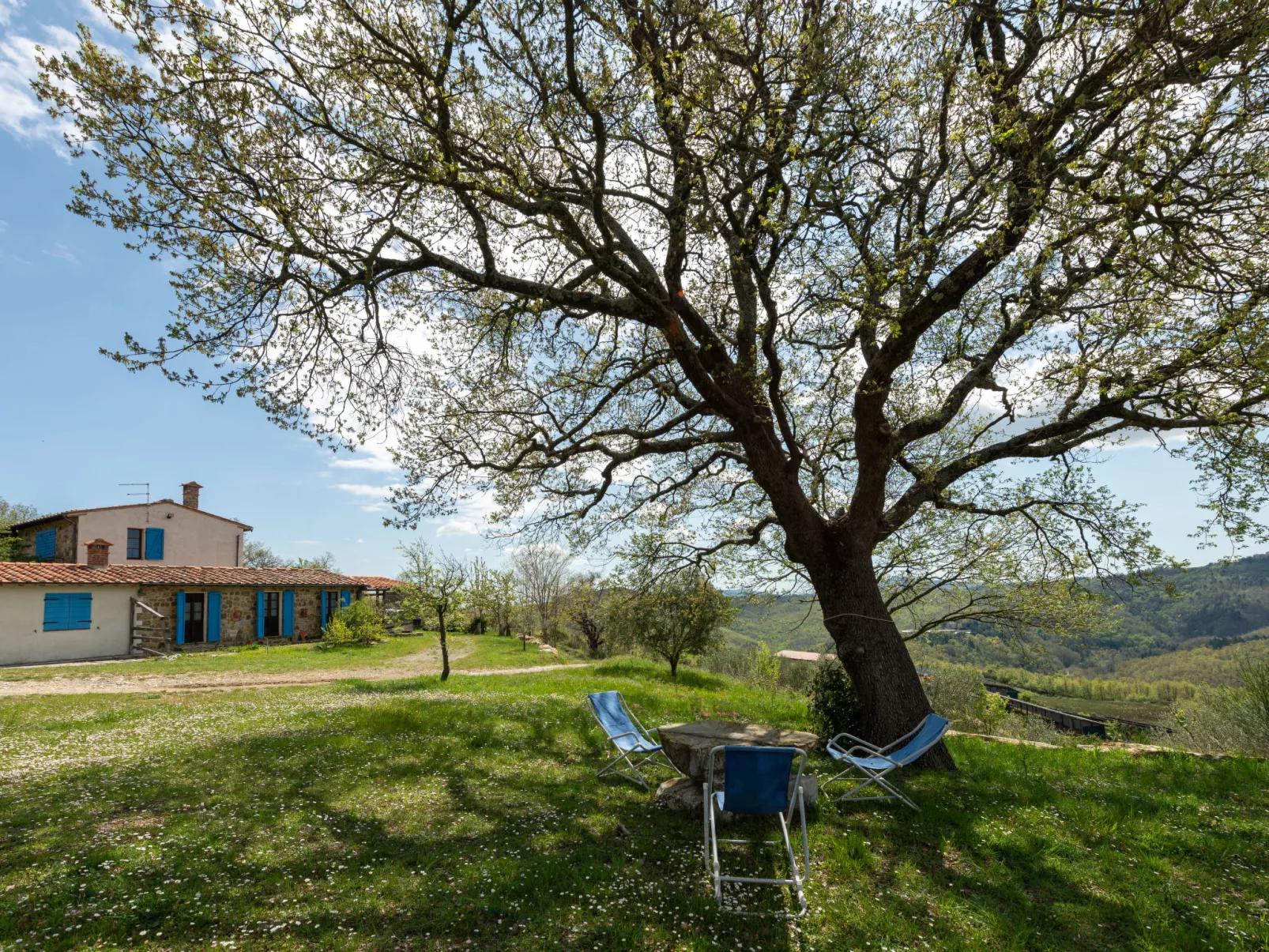 Podere Casidote-Buiten