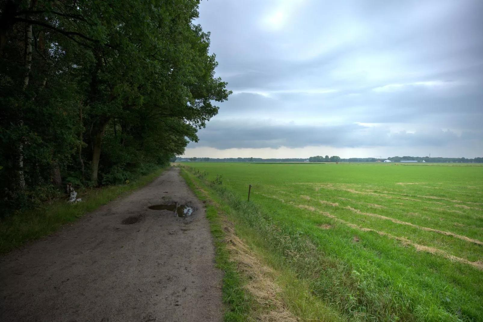 NR 2-Gebieden zomer 1km