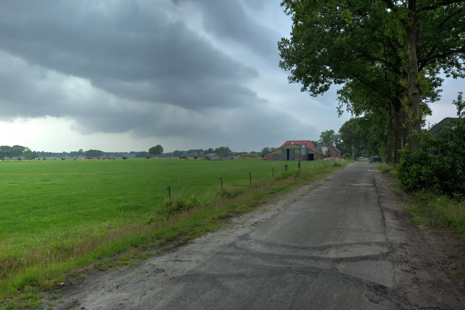 NR 2-Gebieden zomer 5km