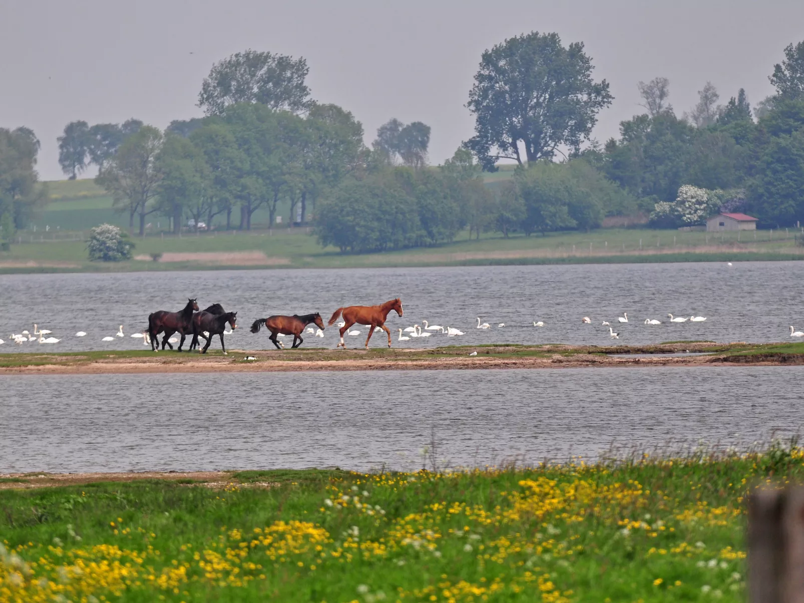 Gollwitzer Park (Insel Poel)-Omgeving