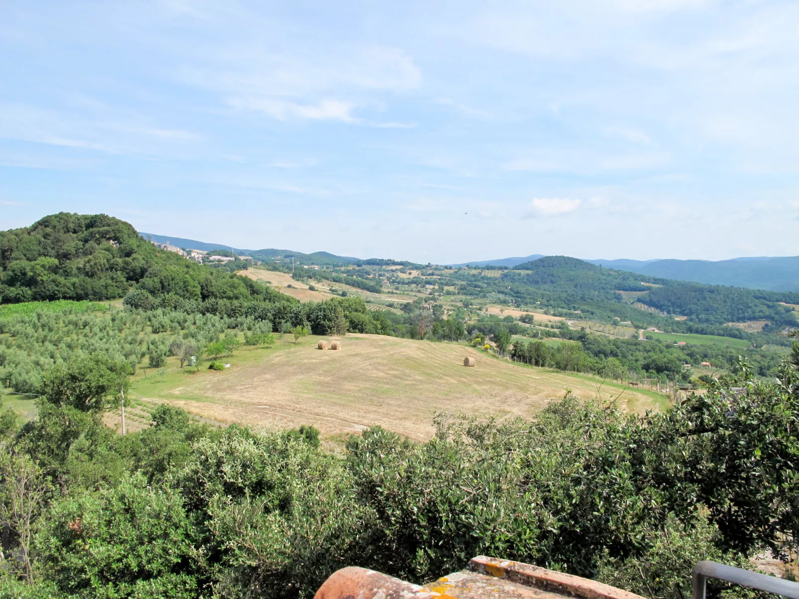 Mimosa + Torretta - Borgo la Civitella-Buiten