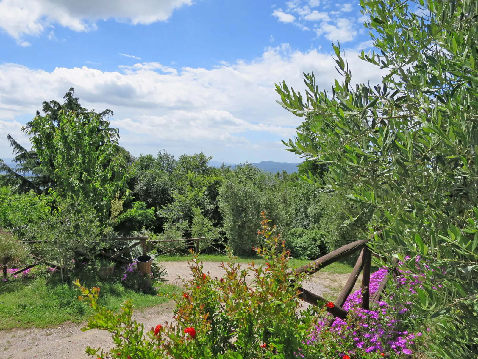 Mimosa + Torretta - Borgo la Civitella-Buiten