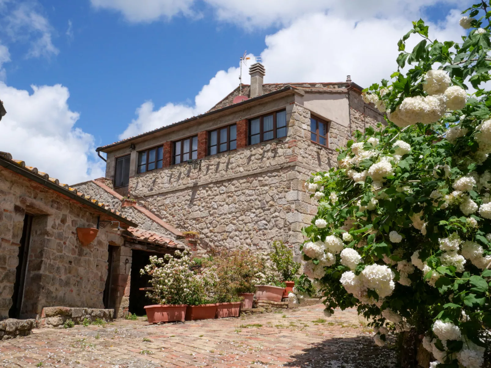 Mimosa + Torretta - Borgo la Civitella-Buiten