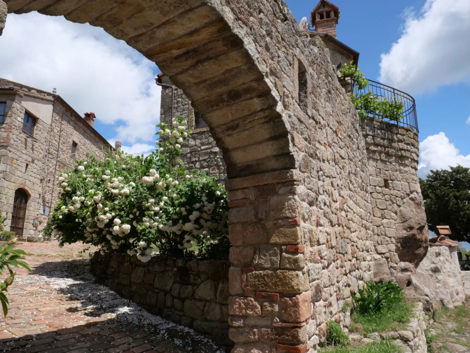 Mimosa + Torretta - Borgo la Civitella-Buiten